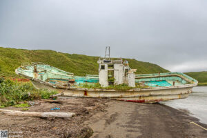 _M109966